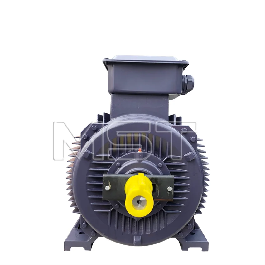 wholesale Industrial abb 160kw siemens bede motor variable frequency motor siemens electric motor water pump