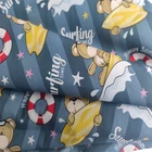 Professional Manufacturer Poplin Printed Fabric 100% Cotton