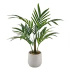 Wholesale Best Price Newly Designed High Quality Real Touch Artificial Kwai Tree Potted Plant For Home Decor