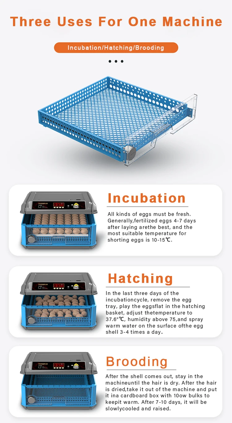Capacity Eggs Incubator Fan, 64PCS, 110v, PP - detail 4