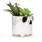 Plant Pot Best Selling 3d Animal Instagram Ceramic Mini Succulent Plant Pot Customized