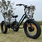 EZREAL USA Warehouse 500W 750W 3 3 Wheel Fat Tire Cargo Bike Electric Tricycle