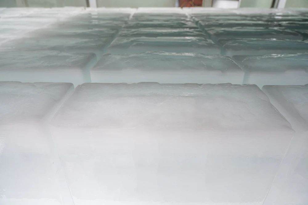 Ice Machines, CBFI, 220, 1300W - detail 10