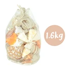 Shells Competitive Shell Natural DIY Craft Mixed Sea Shells Competitive Price OEM Bag Packed Shell