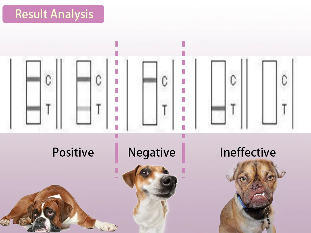 # diet before pet scan for cancer: Unlocking the Secrets to Optimize Your PET Scan Results