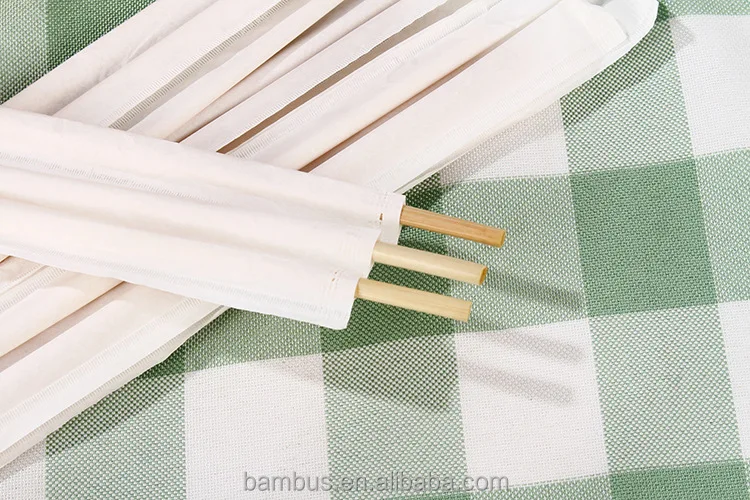 Bambus Eco Friendly Biodegradable Compostable Sugarcane Bagasse