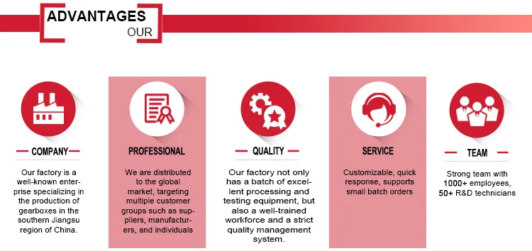 Factory customized BWD1 BLD1 Cast Iron Gear Speed Cyclo Drive Reducer Cycloid Gearboxes  Cycloidal pin wheel reducer manufacture