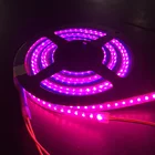 Pink Color Light Waterproof Led Grow Strip Lights Waterproof 5v 12v 24v 2835 5050 Pink Color Led Grow Plants Strip Light