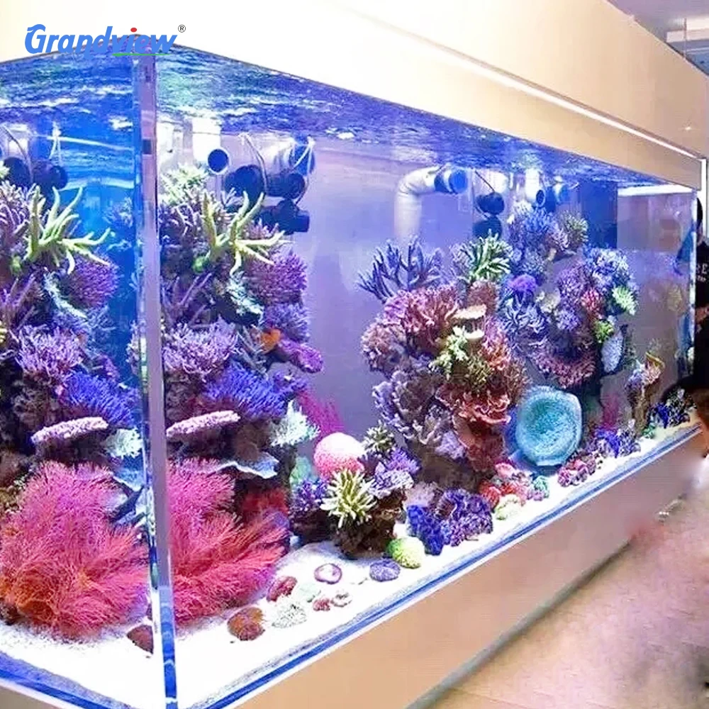 100l marine fish tank