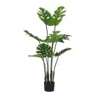Bonsai Tree Fast Delivery All-Season Simulate Bonsai Tree Simulation Tree Pot Monstera Deliciosa