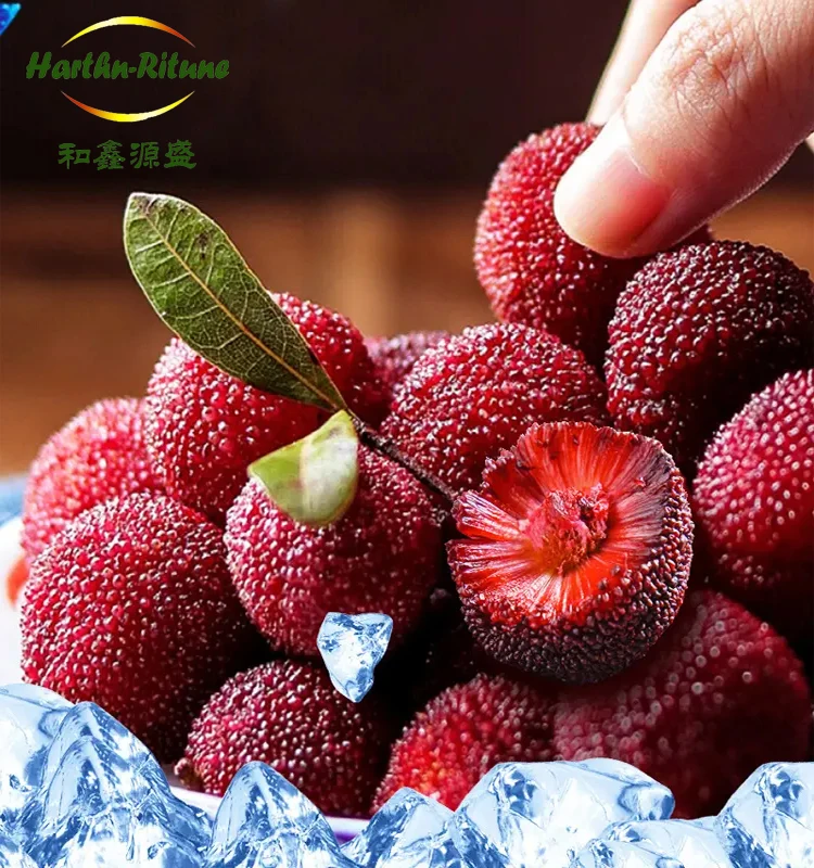 China Supplier IQF Frozen Fruits Healthy Natural Frozen Bayberry manufacture