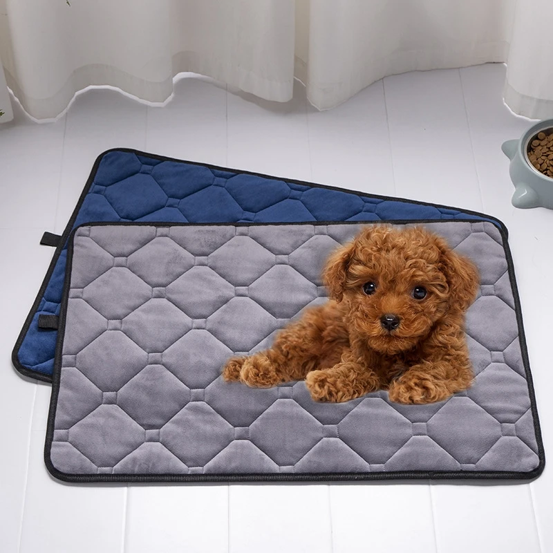 Principal 130+ imagen car seat pee pad In.thptnganamst.edu.vn