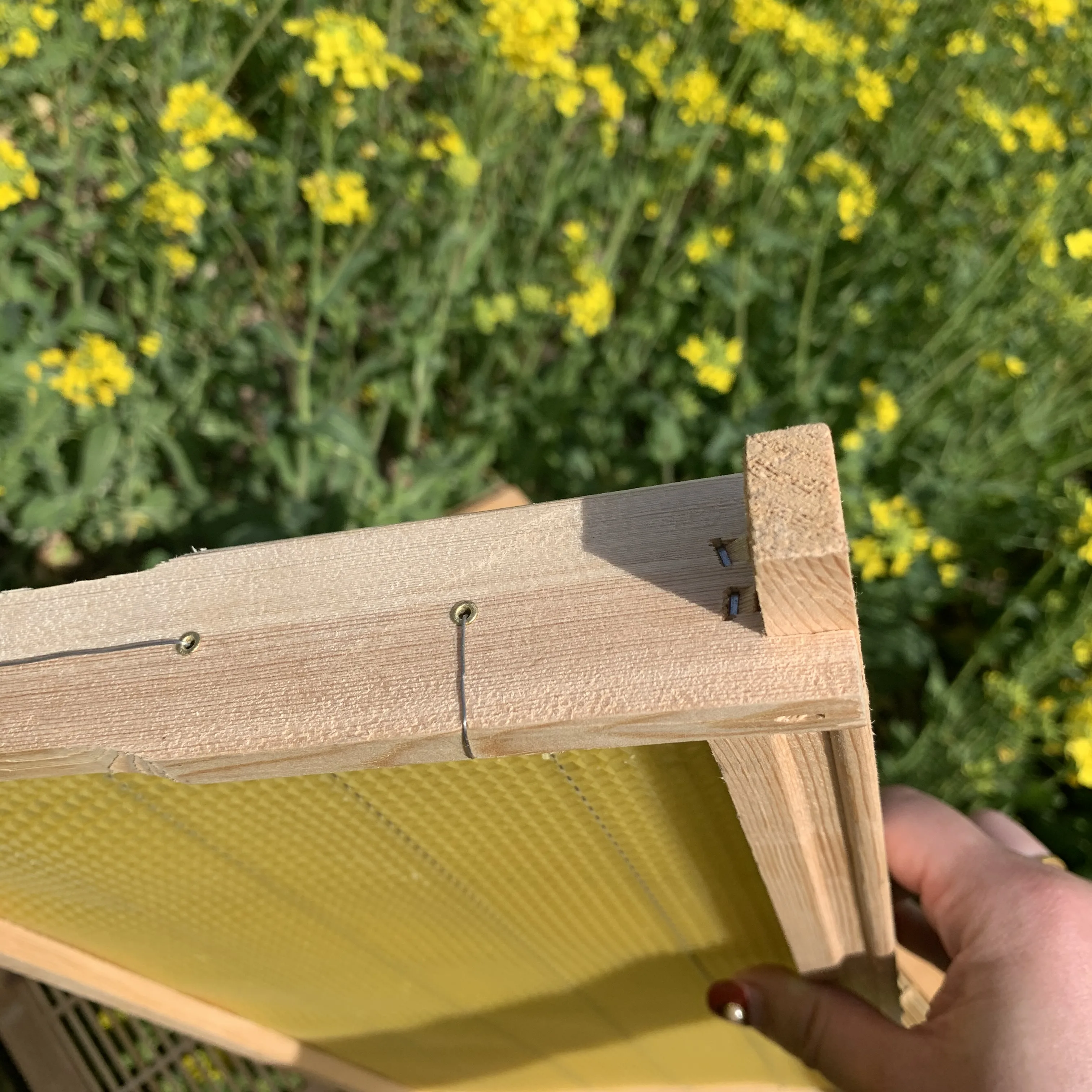 Beekeeping Tool Bee Hive Frames With Beeswax Foundation Langstroth Bee Frames With Bee Wax