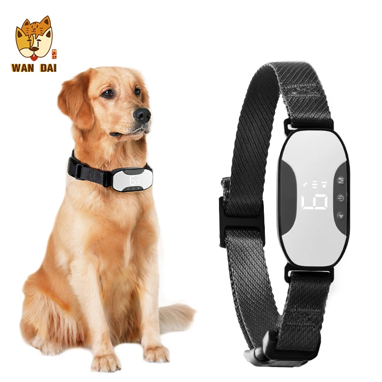 what is the best electric dog collar
