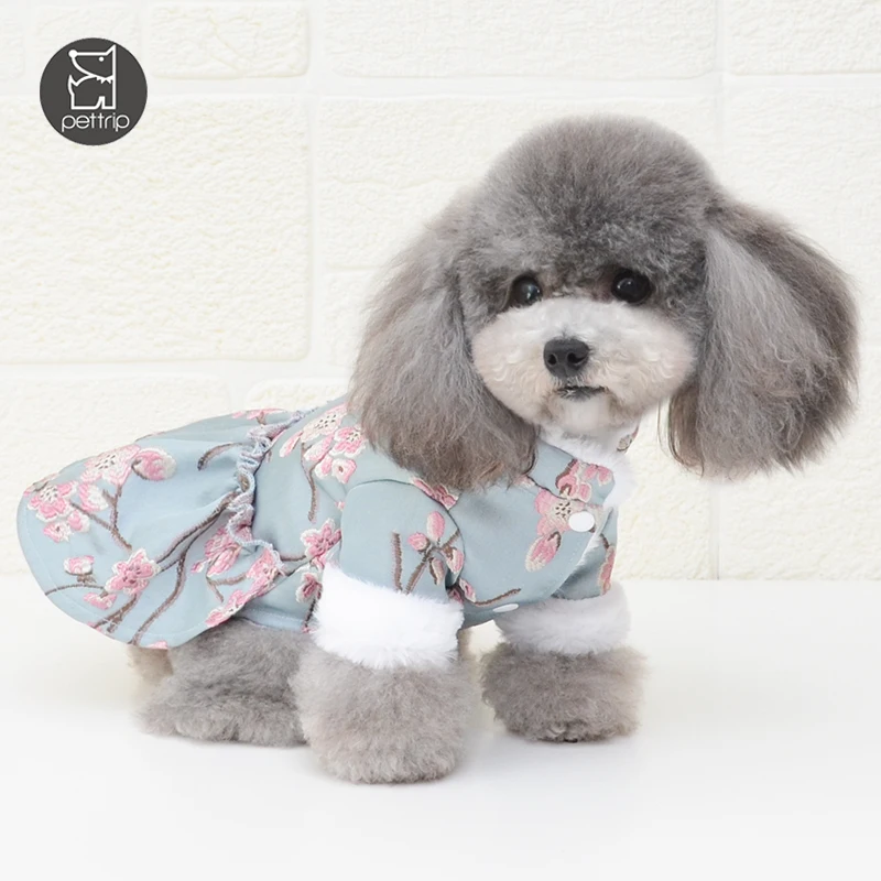 chinese crested clothes