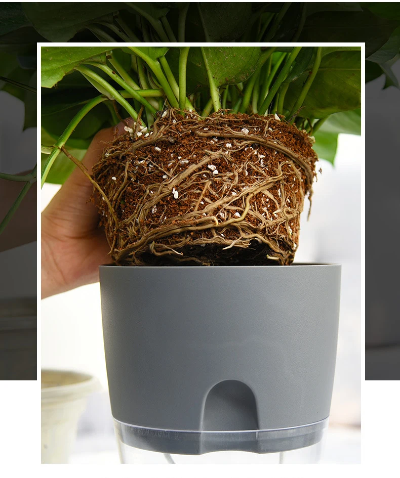 创意自动吸水盆棉绳自浇水花盆透明塑料懒人花盆