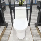 Sanitary Toilet Ceramic Sanitary Ware Commode Bathroom Water Closet Floor Mounted Toilet Soft Close Toilet Seat