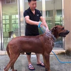Pet Cleaning Tool Sell Well New Type Pet Shower Sprayer Cleaning Dog Bathing Tool Pet Cleaning Bath