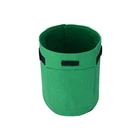 4 Pot Biodegradable Garden Felt 1 Gallon 4 Gallon 15 Gallon Pot With Handle Grow Bags For Blueberries