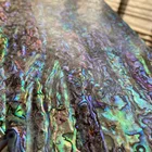 Shell Abalone Red Paua Shell Veneer Abalone Mother Of Pearl Shell Paper
