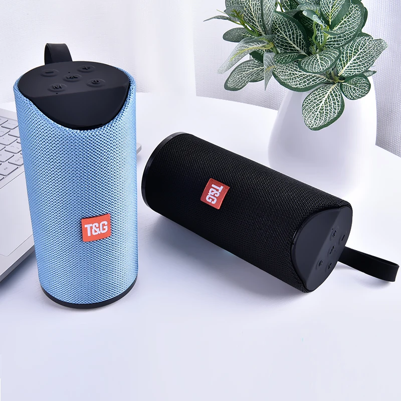 flip speaker tg113