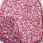 Rose Tea Most Popular Healthy Rose Bud Tea Flower Blooming