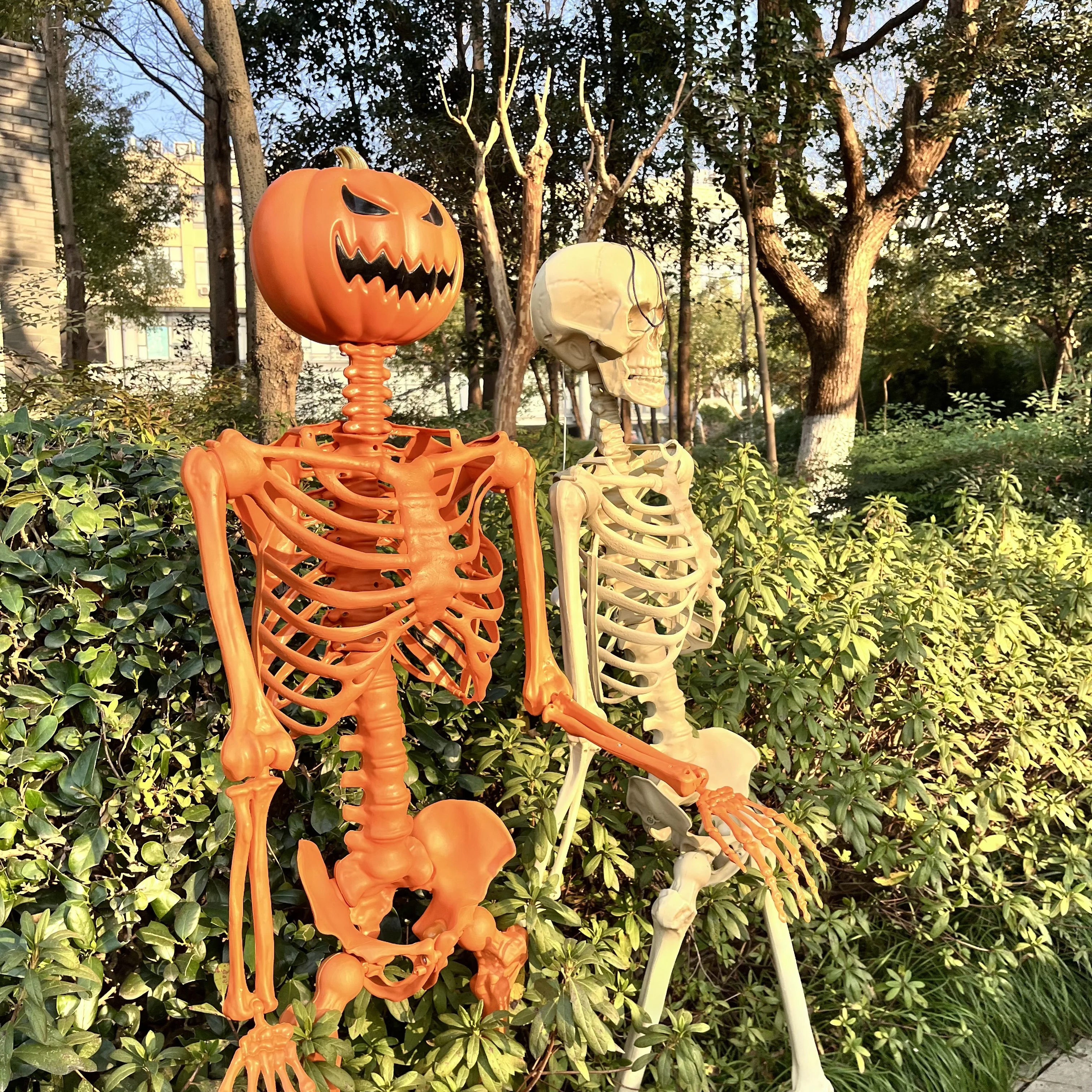 Halloween Prop Props Pose-N-Stay Life Size Pumpkin Posble Joints Human Halloween Skeletons For Holidays Decoration