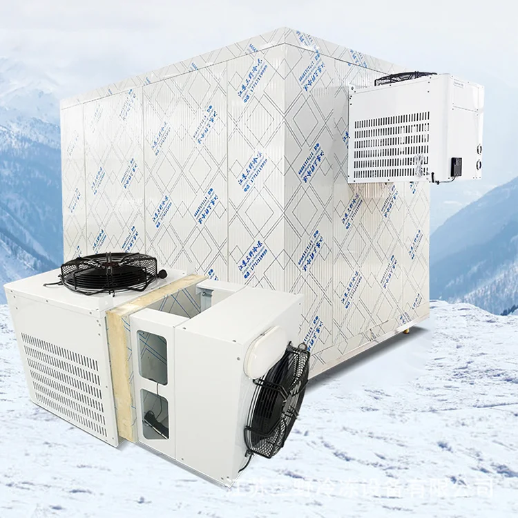 Freezing Chamber Froide Freezer, 220v, > 1000W - detail 6