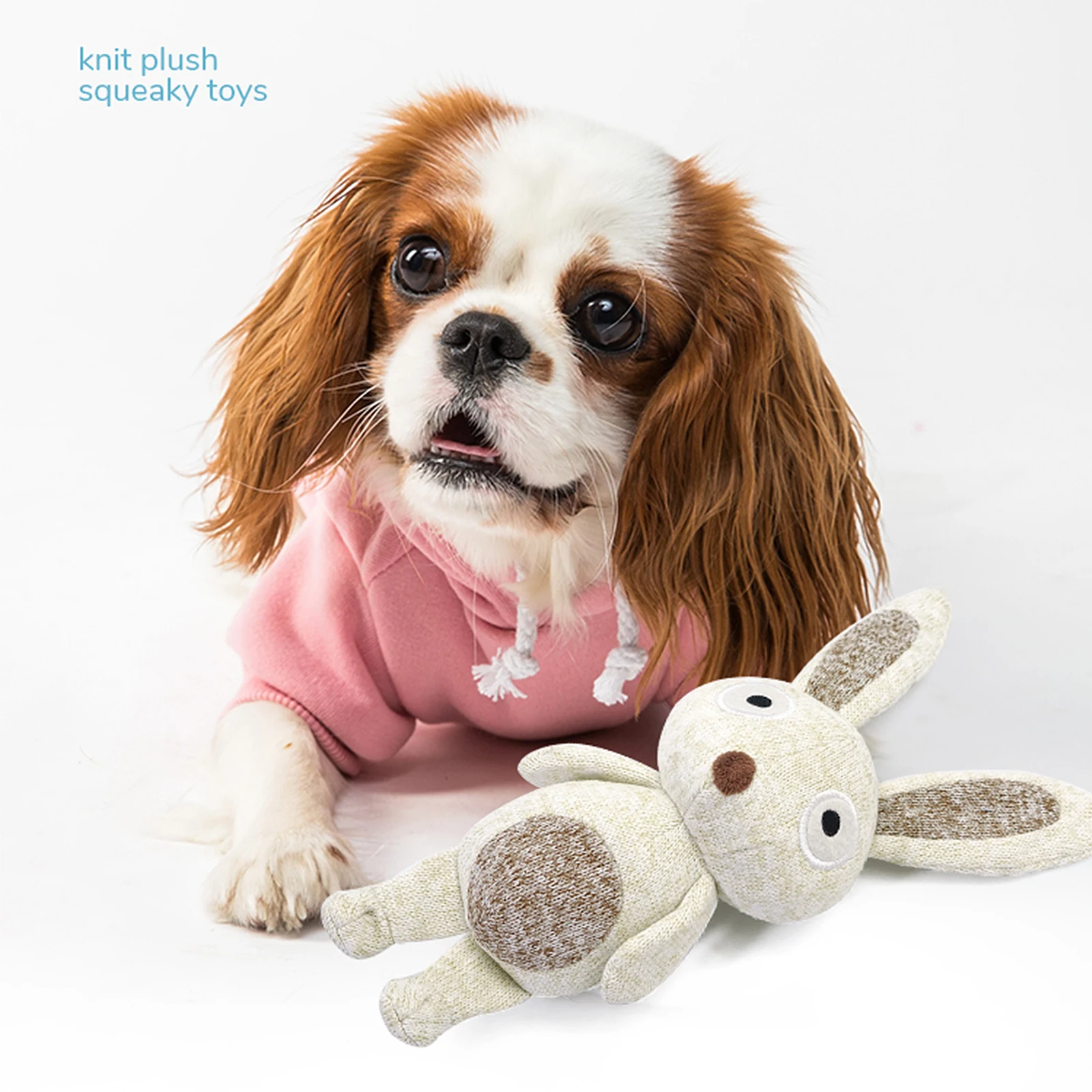 pet stock dog toys