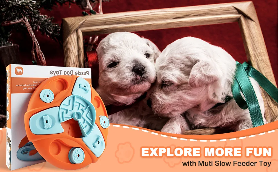  Discover the Joy of Mini Pets: Your Ultimate Guide to Adorable Companions