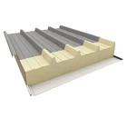 Panel Color Steel Insulated EPS/PU Metal Rock Wool Sandwich Panel Roof