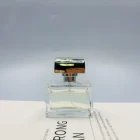 Fancy High Quality Empty Square Glass Perfume Pump Spray Bottle 30ML Fancy Glass Perfume Bottles