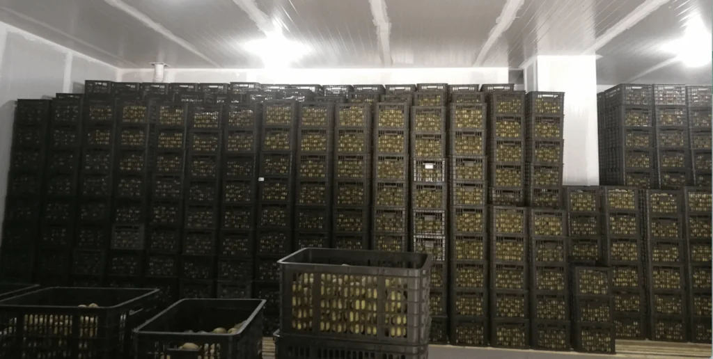 Cold Room Storage, 220 V, R404A - detail 24