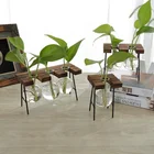 Vase Vintage Glass Hydroponics Plants Desktop Bulb Vase