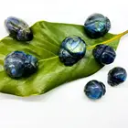Labradorite Gifts Wholesale Natural Carved Crystal Occinellidae Animals Labradorite Ladybird For Gifts