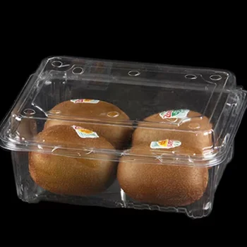 Disposable Clamshell Fruit Box With Holes Transparent Plastic Packaging