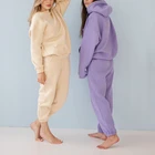 Women Custom Logo Cotton Oversized Tracksuit Women Plian Blank Heavy Fleece Hoodie Sweatsuit Jogger Set