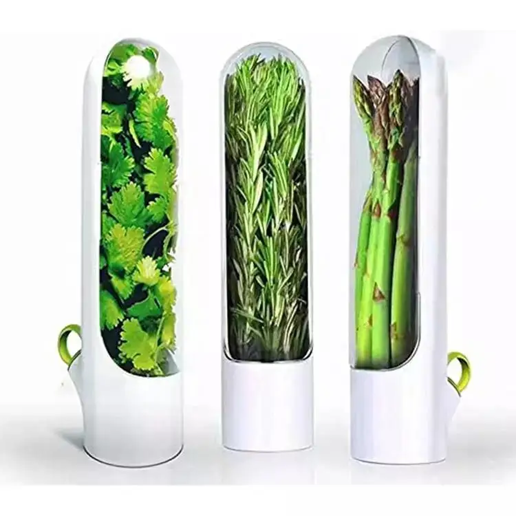 New product 2023 Herb Savor Storage Container Freshness Herb Keeper Transparent Refrigerator Herb Saver