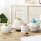 White Planter White White Ceramic Mini Succulent Planter Pots
