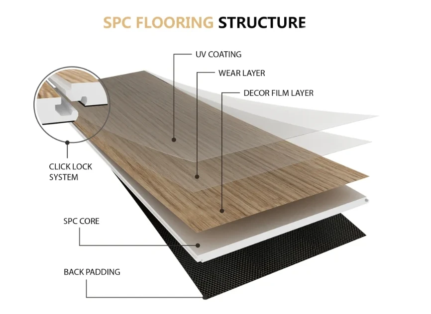 spc structure.png