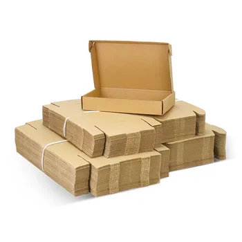 Custom Printed Packaging Folding Cardboard Corrugated Mailer Shipping Kraft Paper Box