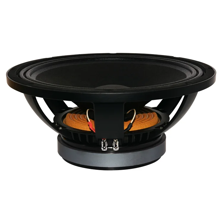 12 inch speaker 120 watt