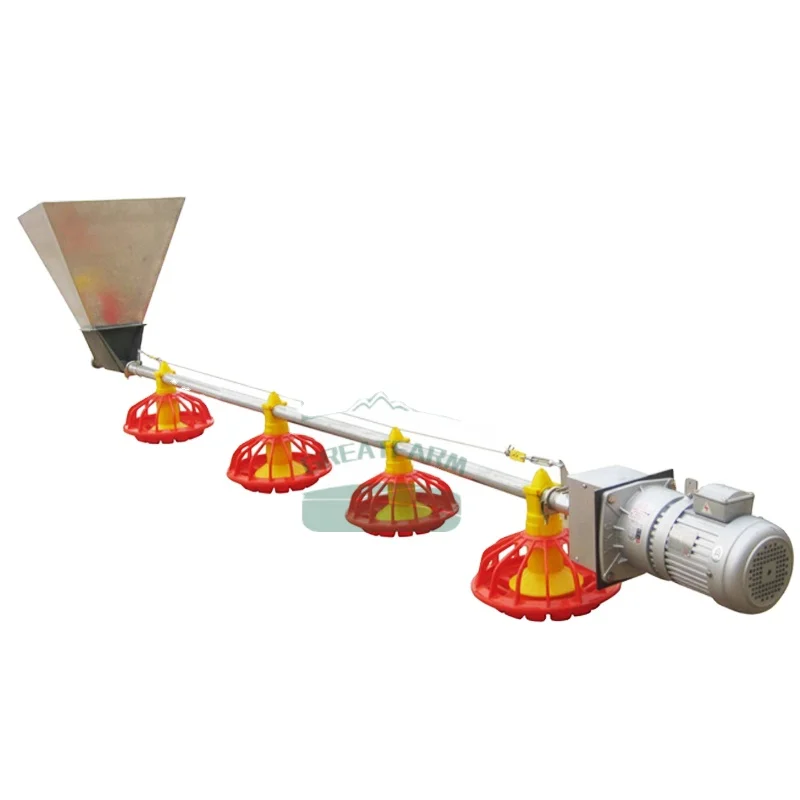 Automatic Chicken Feeder System ubicaciondepersonas.cdmx.gob.mx