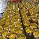 Yellow Corn Corn Good Taste Canned Yellow Sweet Corn