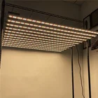 Led Grow Light Bar 1000W True Power 12 Bars High Power Full Spetrum Led Grow Light For Growing Tent Trays Tables