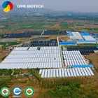 Mushroom China Organic Certified Shiitake Mushroom Spawn/logs With Professional Instruction About Cultivation