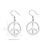 Hoop New Stylish 925 Silver Hoop Jewelry Earrings For Sale Hot Sale