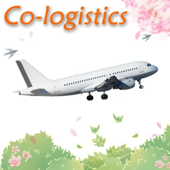 freight forwarder Fast flight SZX to JFK by CA china to USA air shipping cheap air freight rate daily airport to airport