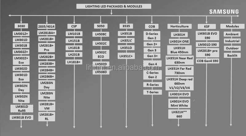  LEDs general view