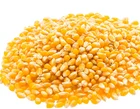Corn Natural Food Non Gmo Types Yellow Vacuum Packed Sweet Corn Canned